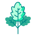 Фрукты icon