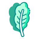 Фрукты icon