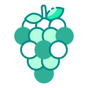 Fruit 