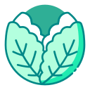 Фрукты icon