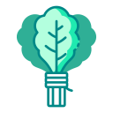 Фрукты icon