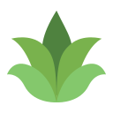 naturaleza icon