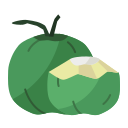 fruta icon