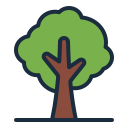 Árbol icon