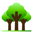 naturaleza icon