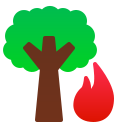 naturaleza icon