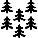 pines 