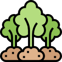 bosque icon