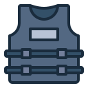 seguridad icon