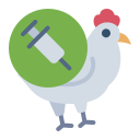 pollo icon