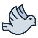 féminisme icon