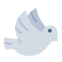 동물 icon