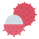 fruit icon