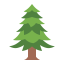 naturaleza icon