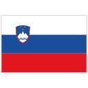 bandera icon