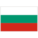 bandera icon