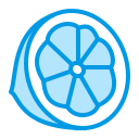 Fruit icon