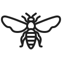 abeja icon