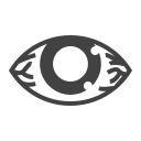 ojo icon