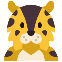 leopardo icon