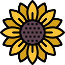 girasol