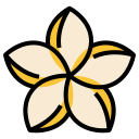 plumeria