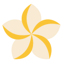 plumeria