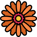 gerbera icon