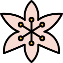 lirio icon