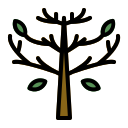 Árbol icon