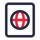 pasaporte icon
