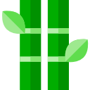 Bamboo 