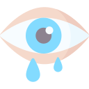 ojo icon