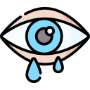 ojo icon