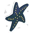 estrella de mar icon