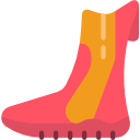 bota icon