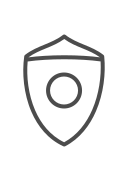 seguridad icon