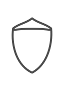 seguridad icon