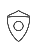 seguridad icon