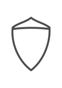 seguridad icon