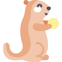 marmota icon