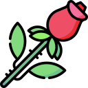 rosa icon