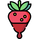 fresa icon