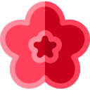 hibisco icon