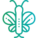 mariposa icon