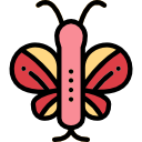 mariposa