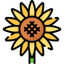 girasol icon