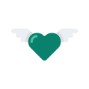 Heart icon