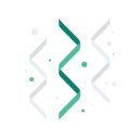 Party icon