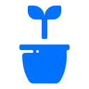 maceta icon